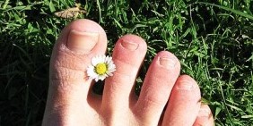 Fungus of the toenails